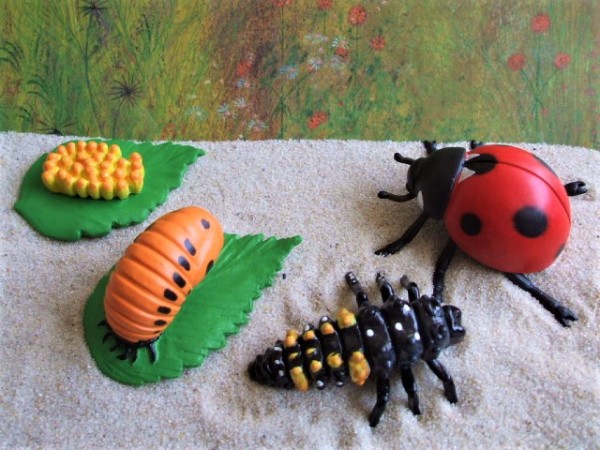 Hen Ladybug Safari Ltd Life Cycle Ant Moth Butterfly