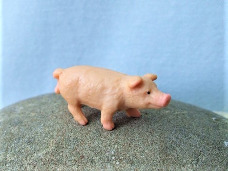 Schwein - Serie ‘Micro Tiere‘