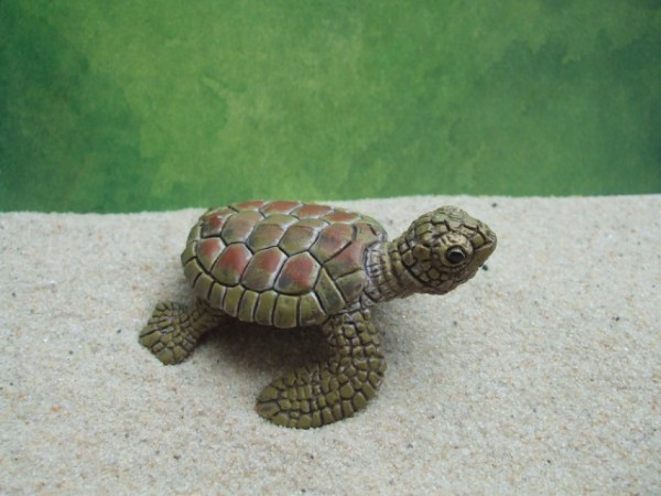 Playmobil Schildkröten Wasserschildkröte mit Babys 9071 NEU OVP 