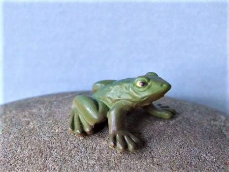Frosch - Serie ‘Micro Tiere‘