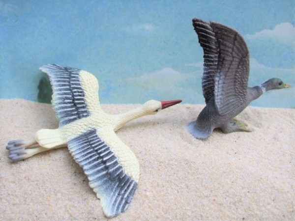 Storch & Ente - fliegend - Serie 'Birds of the World'