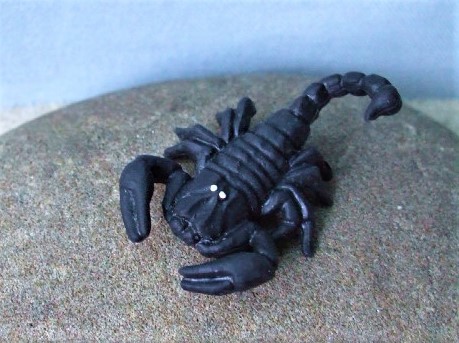 Skorpion - Serie ‘Micro Tiere‘